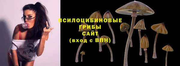 ешки Белоозёрский
