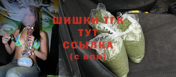 spice Белокуриха