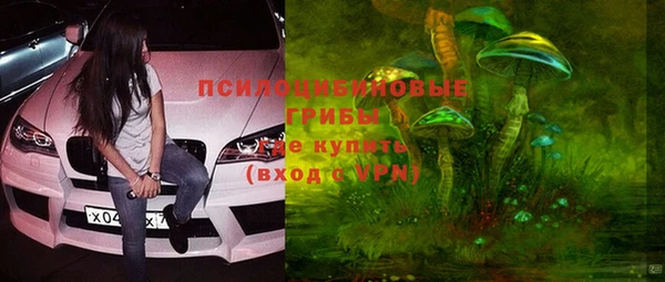 ешки Белоозёрский
